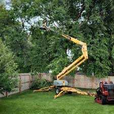 Best Seasonal Cleanup (Spring/Fall)  in Agua Dulce, TX